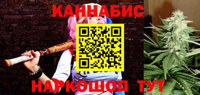 стаф Новозыбков