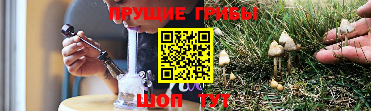 Псилоцибиновые грибы Cubensis  купить наркоту  Соль-Илецк  Вход с VPN 